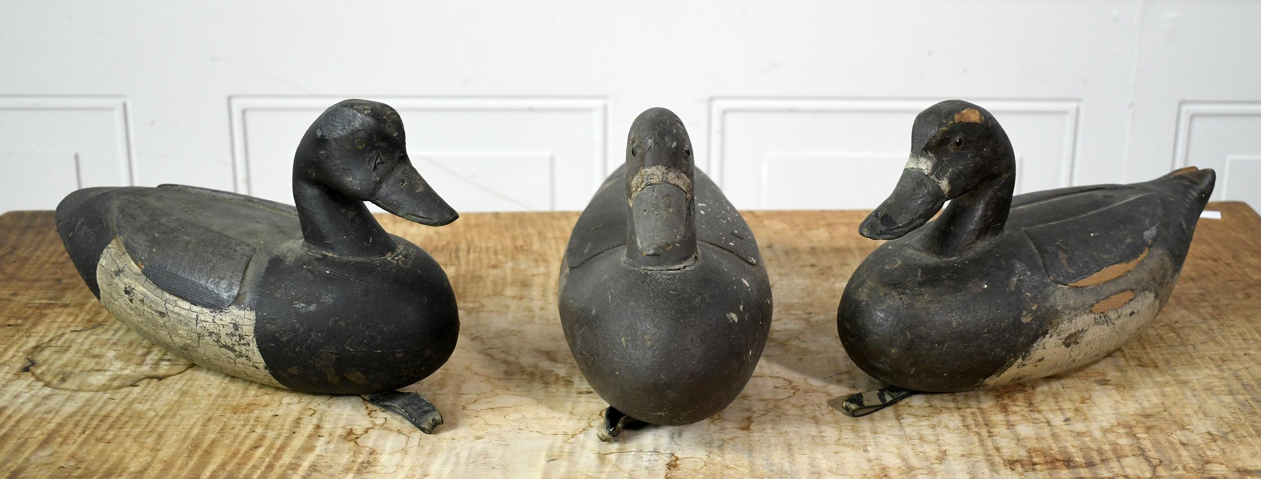 THREE ANTIQUE CARVED WING DUCK DECOYS.