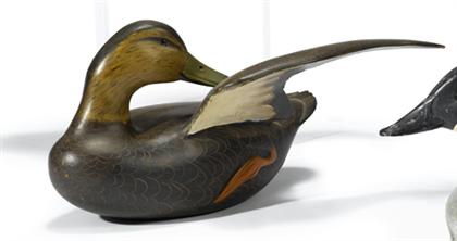 Carved and painted Preening Black duck