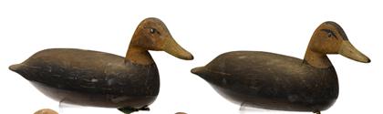 Two painted and carved Black duck