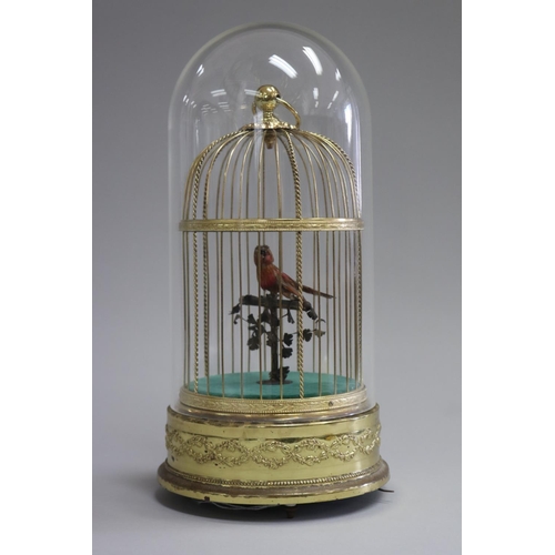 Automaton musical bird cage, under perspex