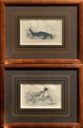 Two hand colored engravings by 306362