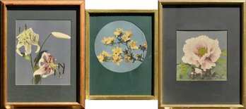 Three vintage floral photos by