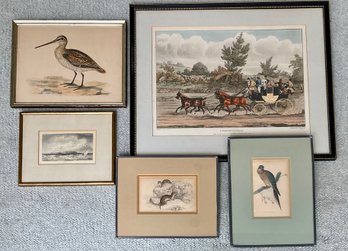 Five framed antique prints including  306ca5