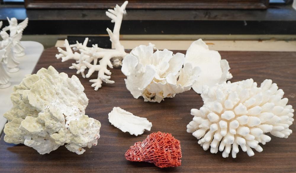 COLLECTION OF SEVEN PIECES OF CORALCollection