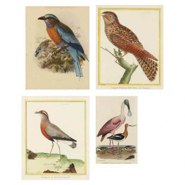 FOUR FRAMED ORNITHOLOGICAL PRINTS To