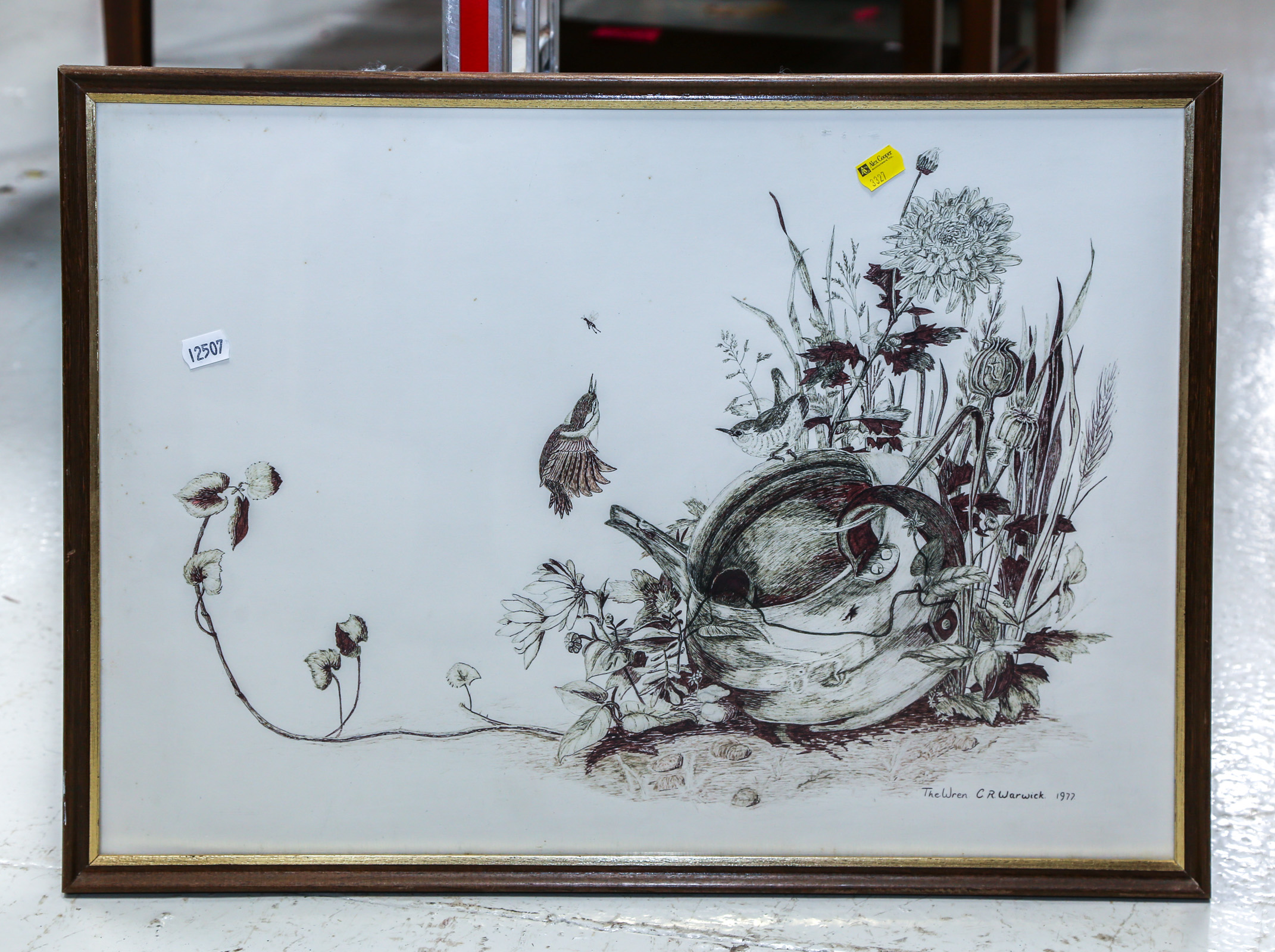 FRAMED LITHOGRAPH OF WREN BY C.R.
