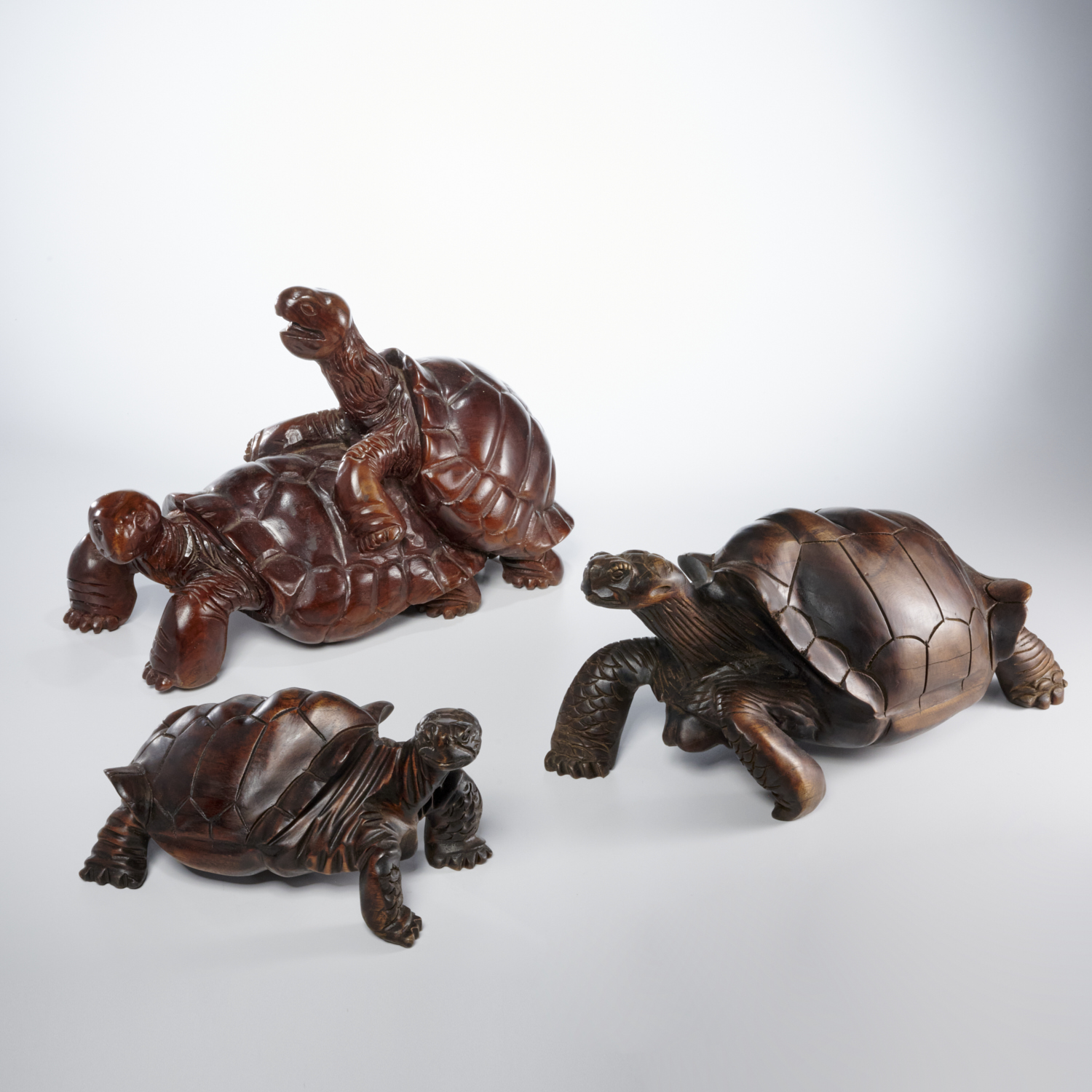  3 LARGE CARVED HARDWOOD TORTOISES 30bf0b