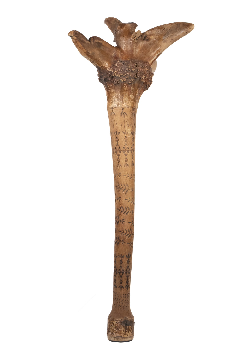 PENOBSCOT BAY BIRCH ROOT WAR CLUB 30c87b