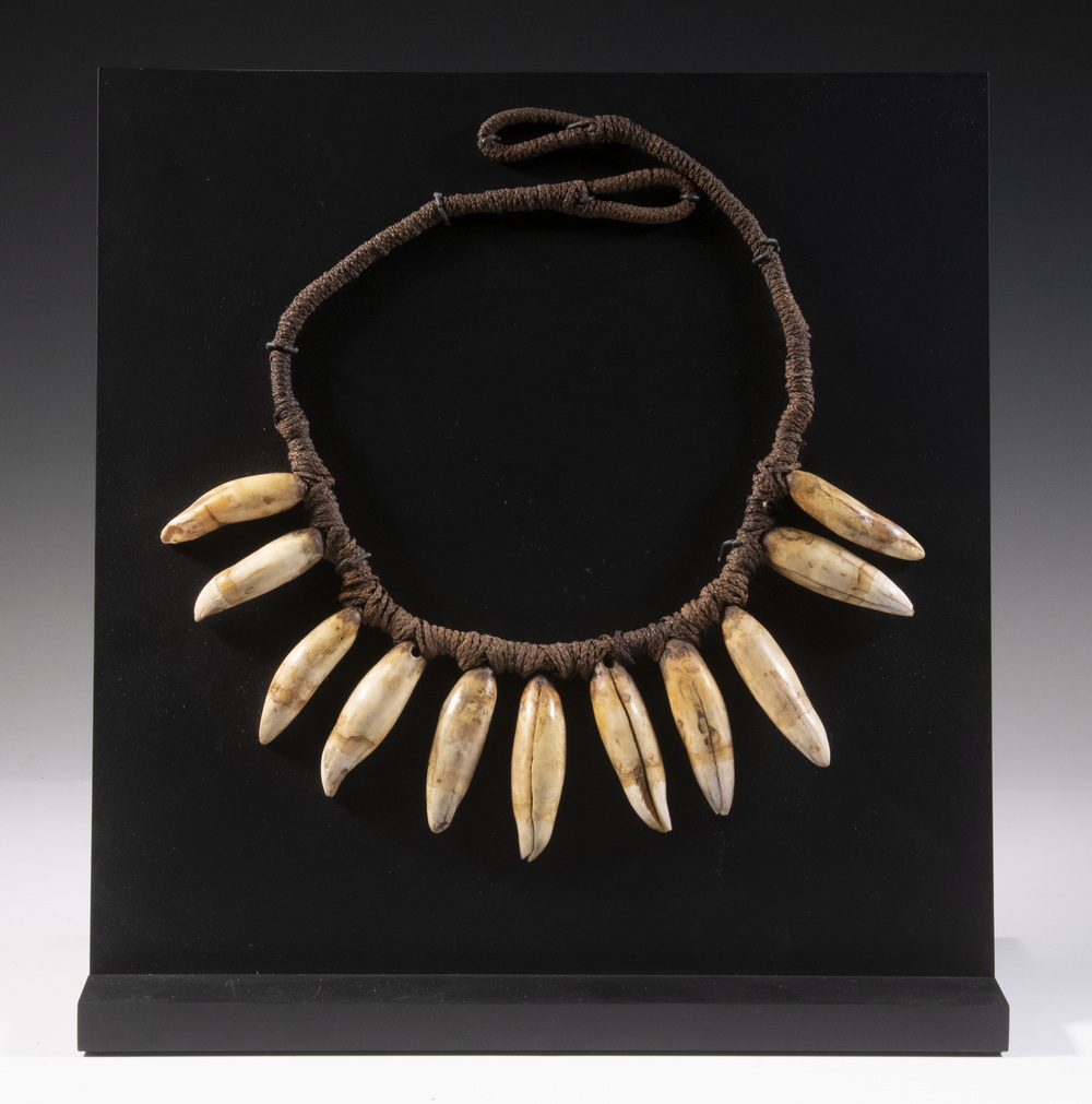 POLYNESIAN WHALE TOOTH NECKLACE 30c943