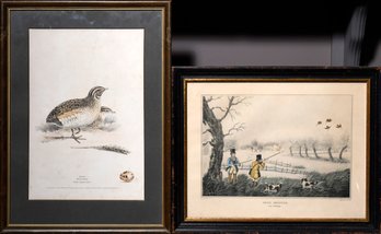Two antique lithographs :  'Snipe