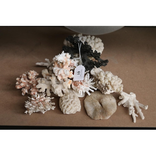 Selection of Coral etc