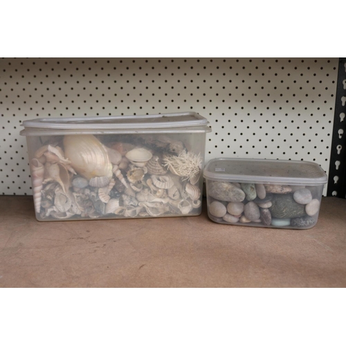 Container of seashells and stones