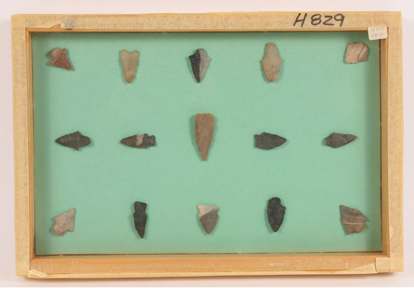 Two frames; H829 with 15 arrowheads