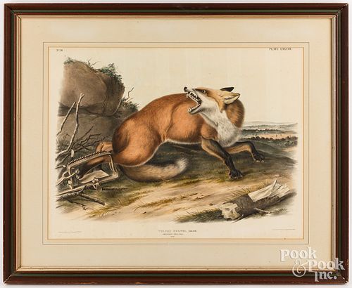 JOHN JAMES AUDUBON COLOR ENGRAVINGJohn 30d067