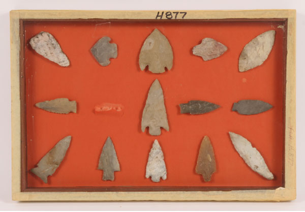 Lot of 14 arrowheads from Florida  4e1f8