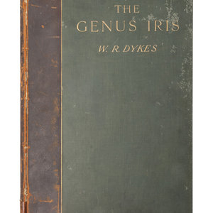 DYKES William Rickatson 1877 1925  30af09