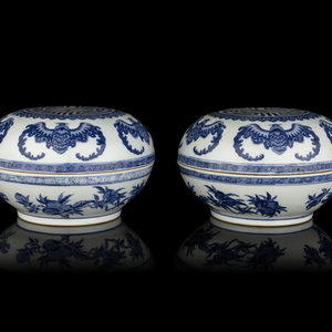 A Pair of Chinese Blue and White 30b40b