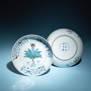 A Pair of Chinese Doucai Porcelain
