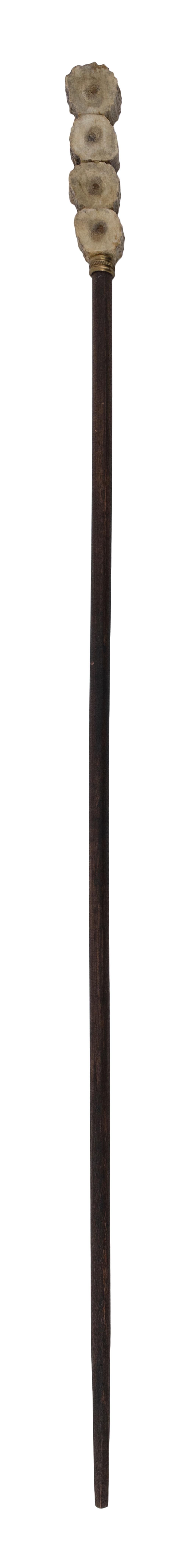 CANE WITH ANTLER HANDLE LENGTH