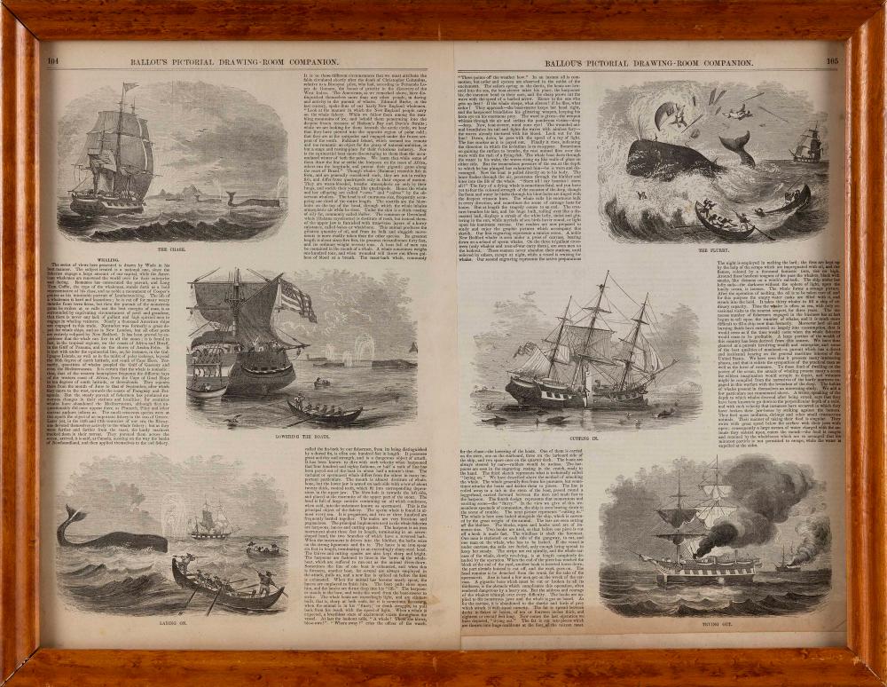 NEWSPAPER PRINT PERTAINING TO WHALING