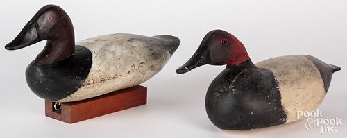 TWO CARVED AND PAINTED CANVASBACK 30f09f