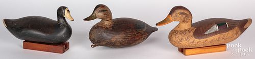 THREE CARVED AND PAINTED DUCK DECOYS  30f0bd