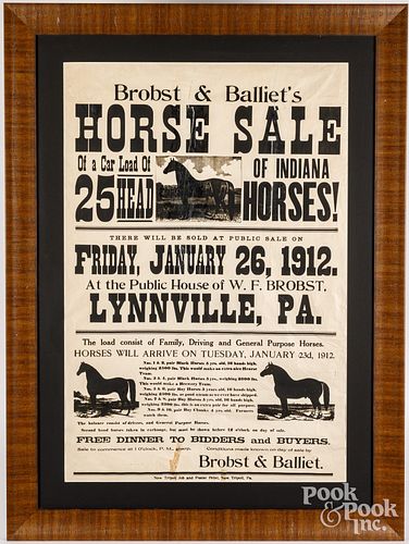 LARGE ADVERTISING HORSE SALE AUCTION 30d87d