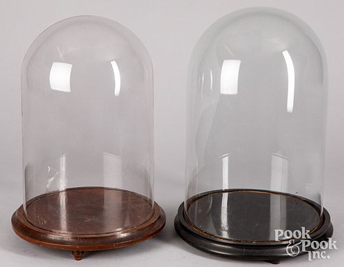 TWO GLASS CLOCHESTwo glass cloches,