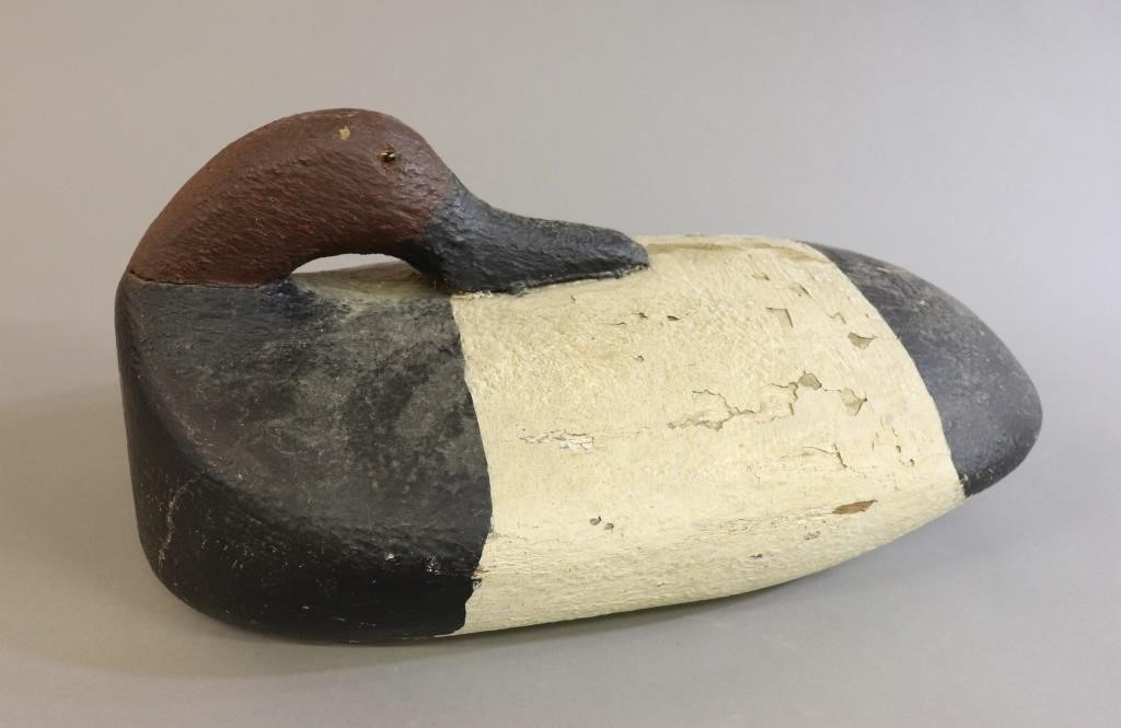 Rare preening canvasback decoy  31178d