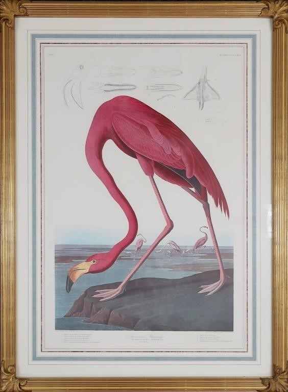 John James Audubon (1785 - 1851)