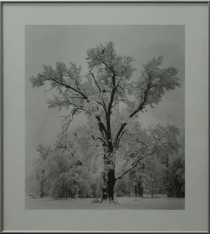 Ansel Adams American 1902 1984  311be2