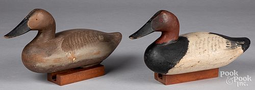 PAIR OF CHESAPEAKE BAY CANVASBACK