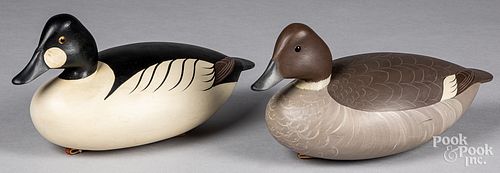 PAIR OF GEORGE STRUNK GOLDENEYE 311db0