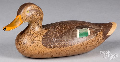 R. MADISON MITCHELL MALLARD HEN