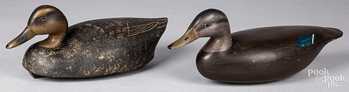 TWO CARVED AND PAINTED BLACK DUCK 311e17