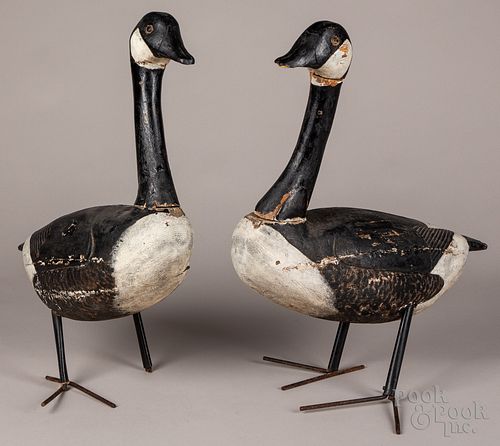 TWO CANADA GOOSE FIELD DECOYS,