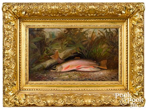 AMERICAN OIL ON CANVAS OF TROUT  310144