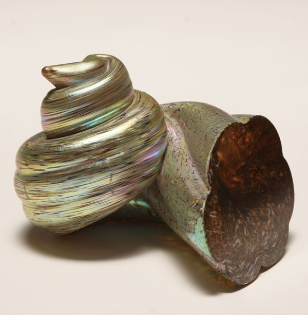 Molly Stone iridescent nautilus shell