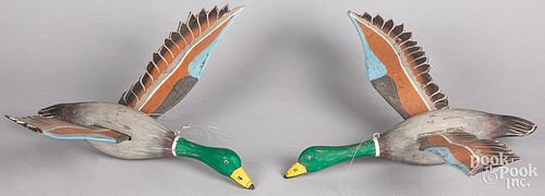 TWO CARVED AND PAINTED FLYING MALLARD
