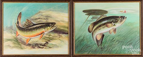 OIL ON CANVAS OF FISH, 20TH COil