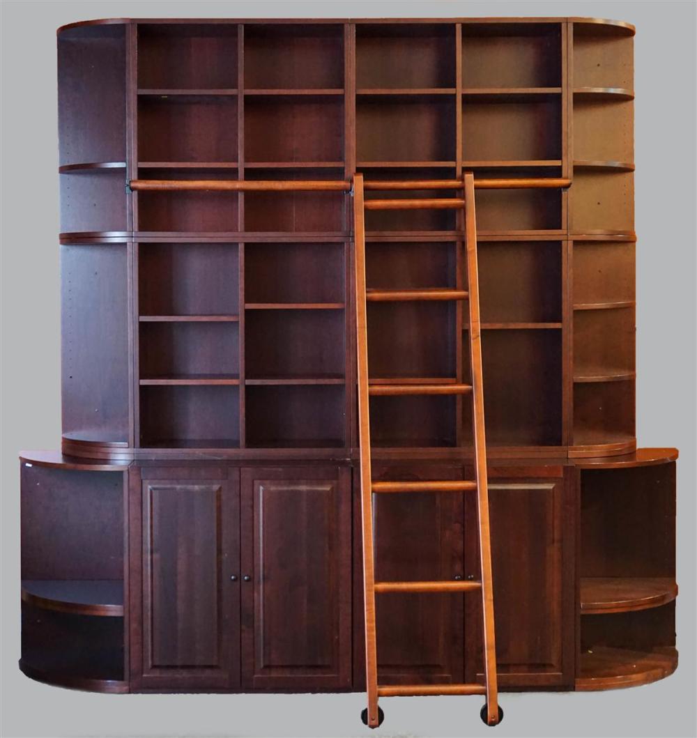 LIZELL BOOKCASE WALL UNIT WITH LADDERLIZELL