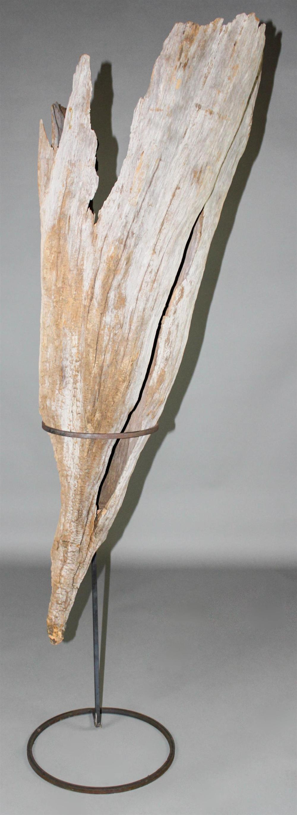 LARGE SOUTHERN CYPRESS KNEE WITH