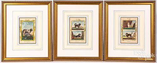 THREE COPPER PLATE DOG ENGRAVINGS  314618