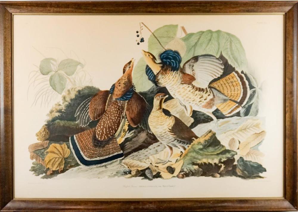 JOHN JAMES AUDUBON AMERICAN 1785 1851  312a9e