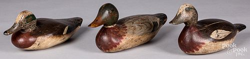 THREE CARVED AND PAINTED DUCK DECOYS  313156