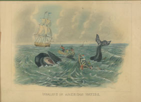  Whaling in American Waters aquatint  4ef5e