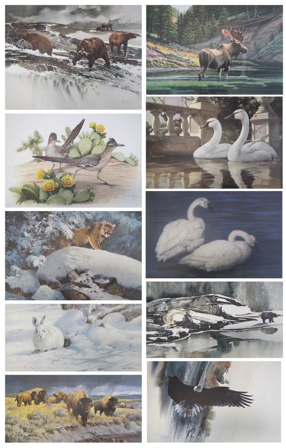 COLLECTION OF TEN WILDLIFE PRINTS: