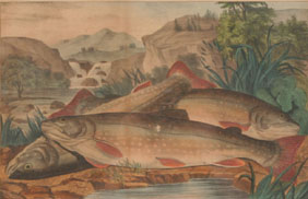 Currier & Ives print; "Brook Trout...Just