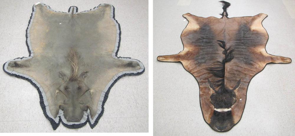 TWO AFRICAN ANIMAL SKIN FLOOR RUGS: