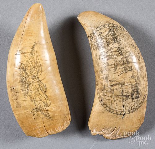 TWO SCRIMSHAW WHALE TEETH 19TH 316fb3